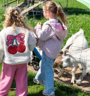 Two children standing beside a wire fence at a petting farm, watching several goats in a grassy enclosure, including a white horned goat in the foreground, with play equipment visible in the background.
