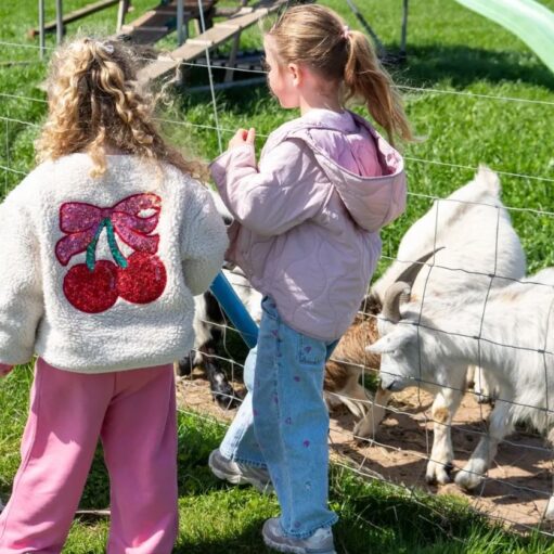 Two children standing beside a wire fence at a petting farm, watching several goats in a grassy enclosure, including a white horned goat in the foreground, with play equipment visible in the background.