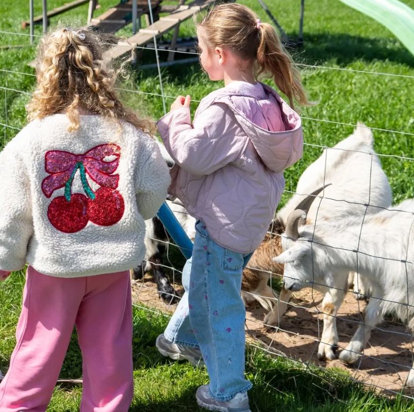 Two children standing beside a wire fence at a petting farm, watching several goats in a grassy enclosure, including a white horned goat in the foreground, with play equipment visible in the background.