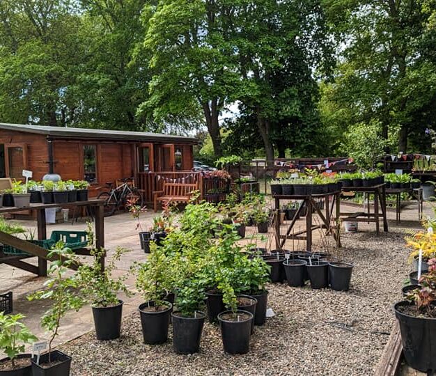 Plant nursery and community garden featuring rows of potted plants, gravel paths and a wooden garden building surrounded by trees.