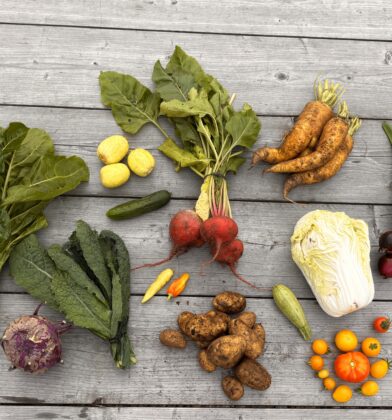 Harvested vegetables are neatly arranged on a weathered wooden table, showcasing a colourful selection of fresh produce from a market garden. The display includes leafy chard, kale, beetroot, carrots, spring onions, potatoes, a cucumber, courgette, Chinese cabbage, kohlrabi, tomatoes and yellow chilli peppers, with soil still visible on some root vegetables.