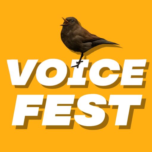 Promotional graphic for Voice Fest, featuring a blackbird standing across large white block letters spelling “VOICE FEST” on a bright golden-yellow background. The bird is shown with its beak open as if singing, reinforcing the vocal and music theme of the event. The bold, high-contrast design uses simple colours and strong typography to create an eye-catching and modern festival logo.