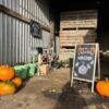 Rustic workshop space decorated for autumn, featuring pumpkins, potted plants and a chalkboard sign advertising a workshop. Tables with craft supplies and containers are arranged inside a corrugated metal barn, with sunlight streaming across the floor and stacked wooden pallets in the background.