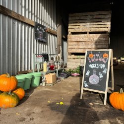 Rustic workshop space decorated for autumn, featuring pumpkins, potted plants and a chalkboard sign advertising a workshop. Tables with craft supplies and containers are arranged inside a corrugated metal barn, with sunlight streaming across the floor and stacked wooden pallets in the background.