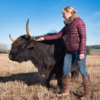 A woman in a burgundy puffer jacket, jeans, and brown knee-high boots brushes a black Highland cow in an open grassy field under a clear blue sky.