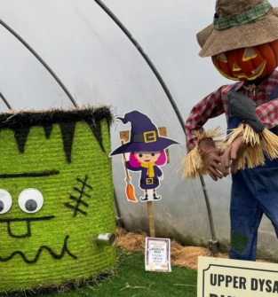 A Halloween display featuring a green, hay-bale Frankenstein's monster with googly eyes alongside a pumpkin-headed scarecrow in overalls and a straw hat inside a polytunnel greenhouse.