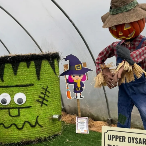 A Halloween display featuring a green, hay-bale Frankenstein's monster with googly eyes alongside a pumpkin-headed scarecrow in overalls and a straw hat inside a polytunnel greenhouse.