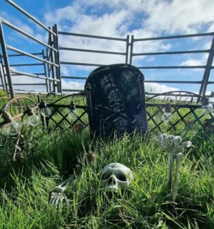 A Halloween graveyard display with a skull, skeletal hands, and a tombstone in a grassy field.