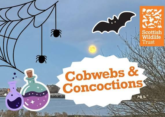 Promotional graphic for “Cobwebs & Concoctions” featuring a loch-side scene with a full moon, bat, spiders, cobweb, colourful potion bottles and the Scottish Wildlife Trust logo.