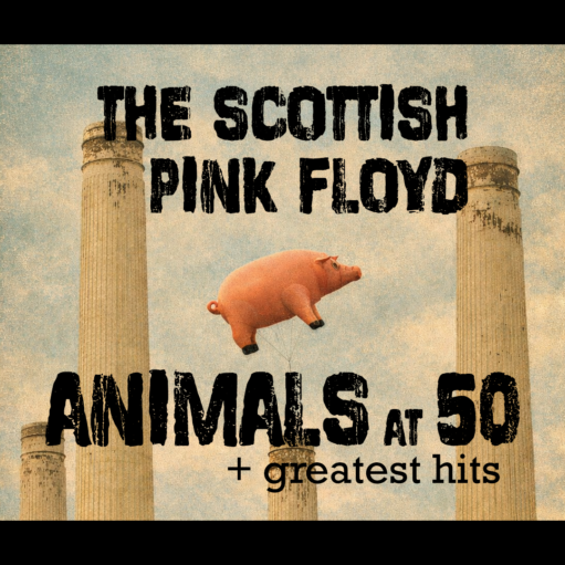 Promotional poster for The Scottish Pink Floyd: Animals at 50, featuring a floating pink pig suspended between classical stone columns against a vintage-style sky background, with distressed black lettering advertising the show and its greatest hits.